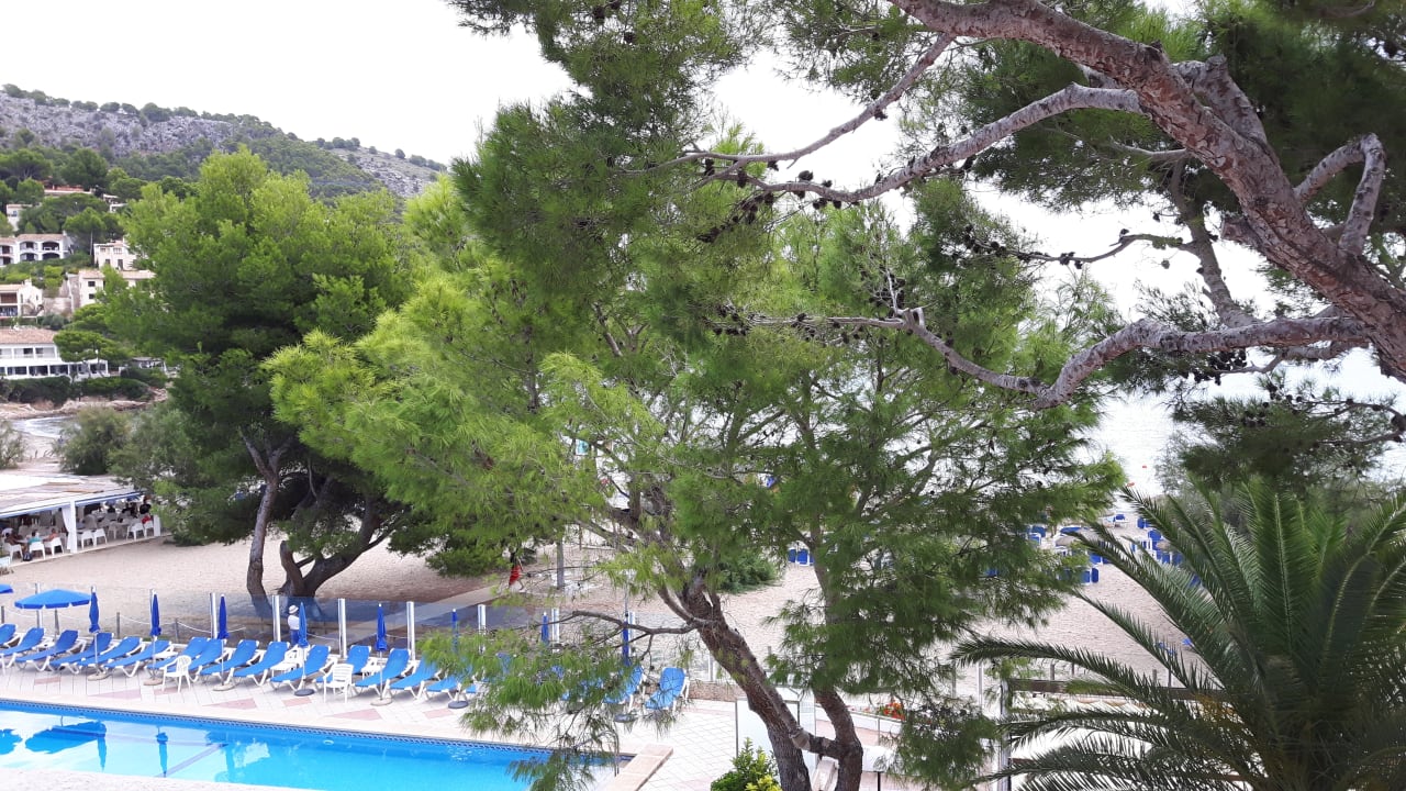 Ausblick Universal Hotel Laguna