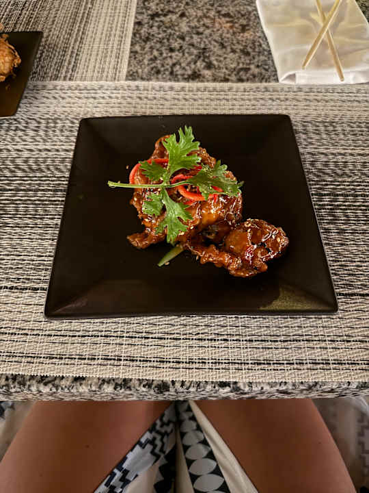 Gastro JAZ Elite Asteria