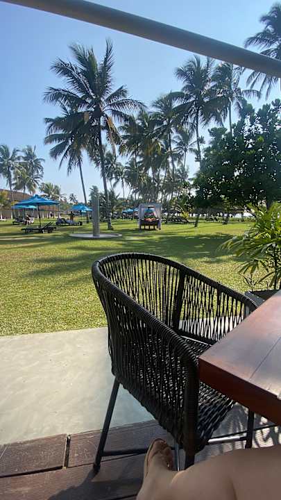 Gartenanlage Thaala Bentota