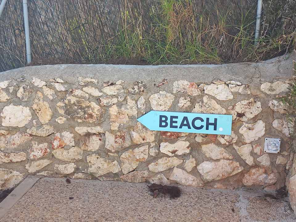 Außenansicht blau punta reina