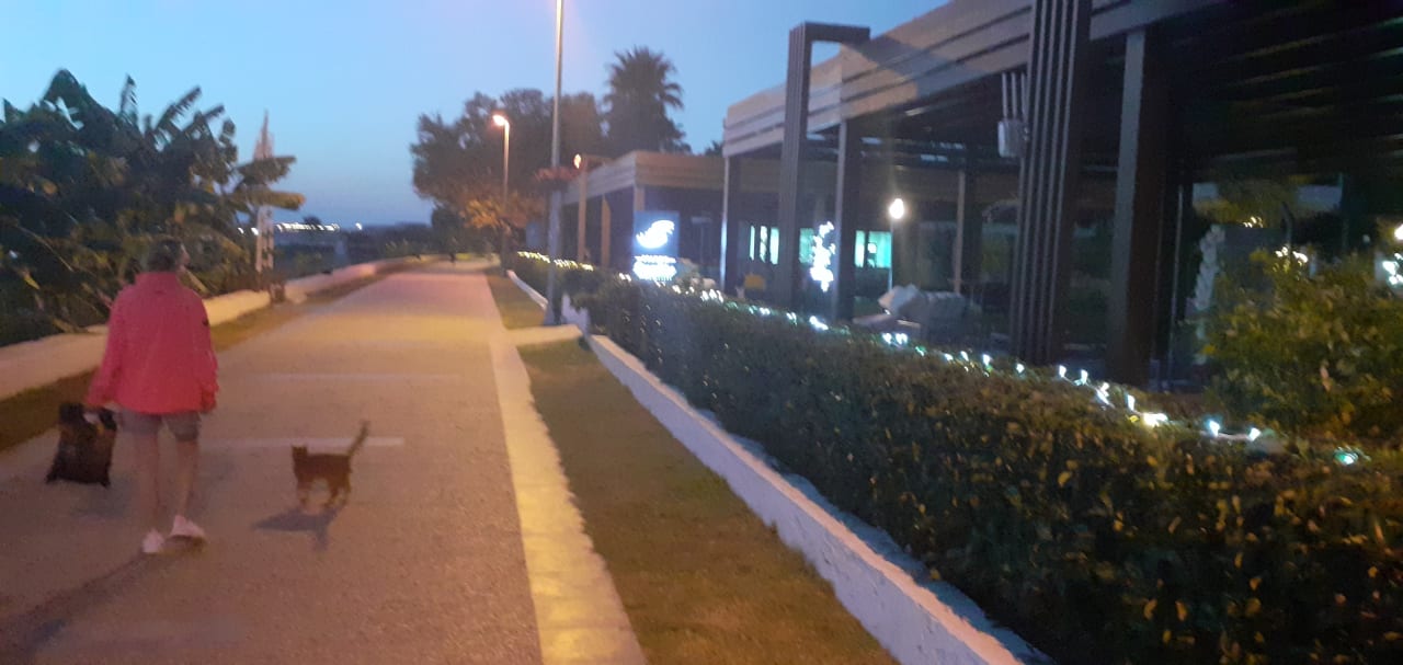 Gartenanlage Seaden Quality Resort & Spa