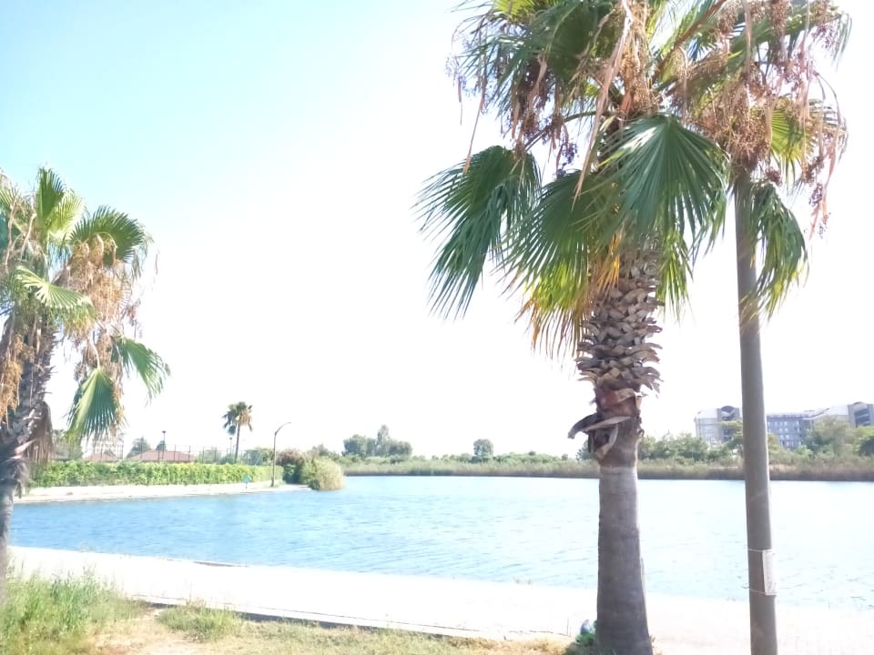 Ausblick Marvida Family Eco