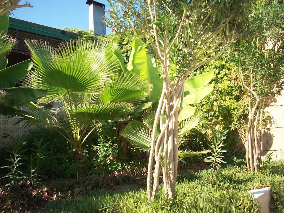 Gepflegte Anlage Vita Silva Hotel