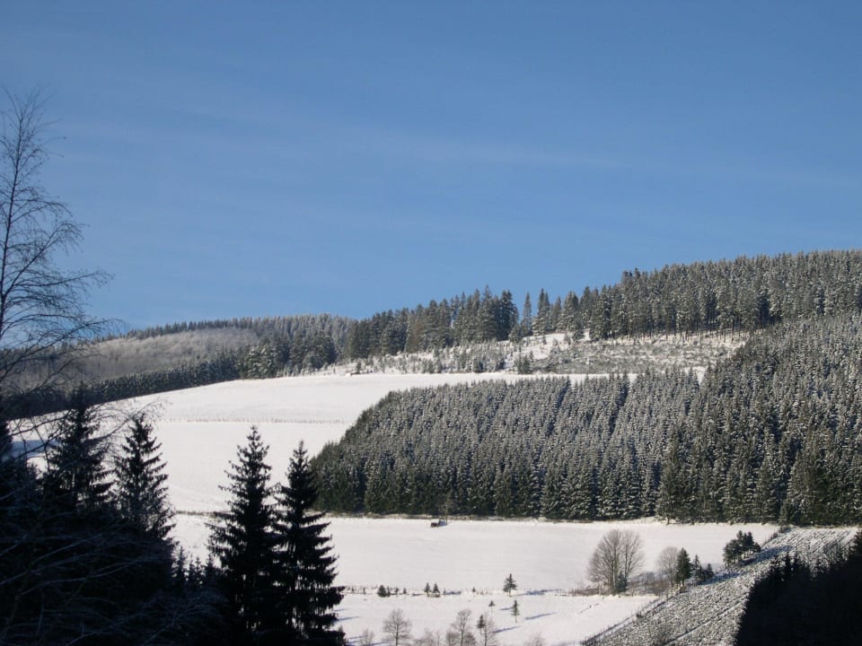 Winterwandern Haus Wald-Eck