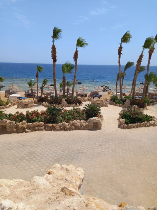 Strand Pickalbatros Citadel Resort