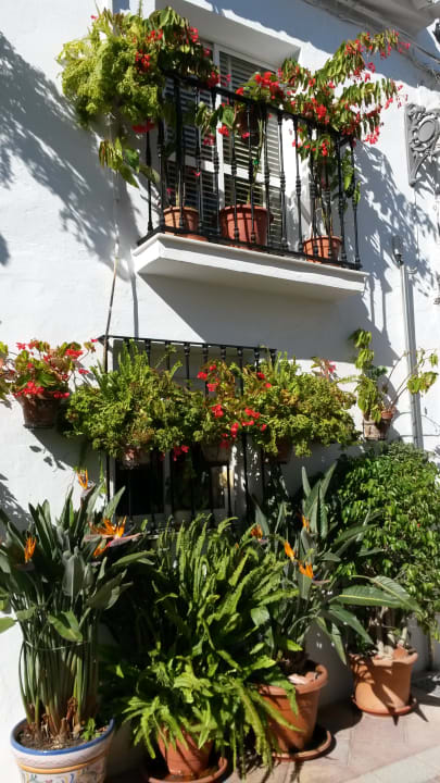 Sonstiges Sol Timor Apartamentos