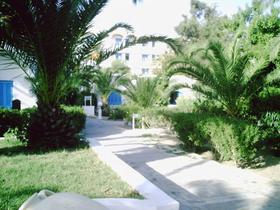 Wie im Paradies... Hotel Coralia Jawhara Palm Beach