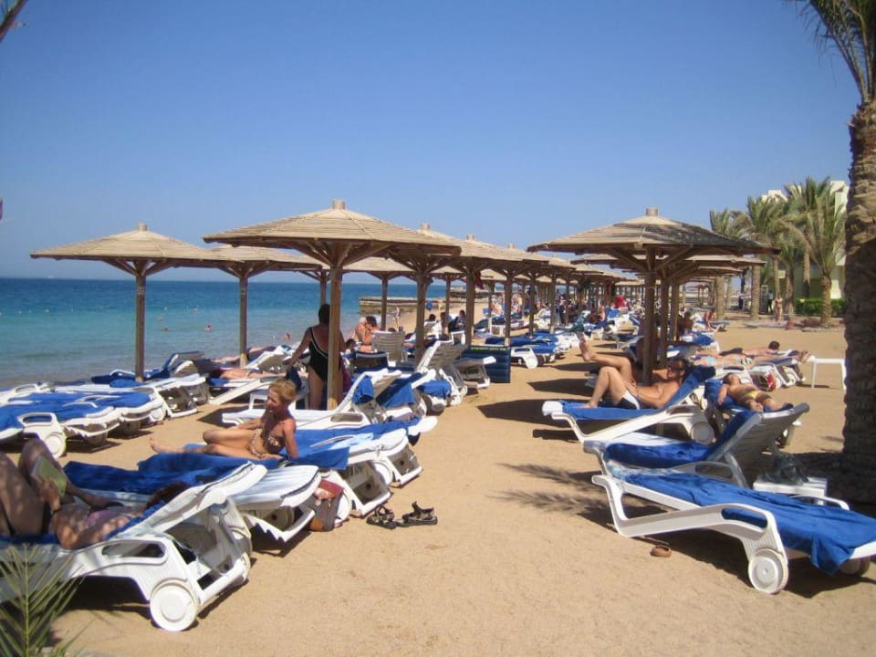 Strandaufnahme Palm Beach Resort