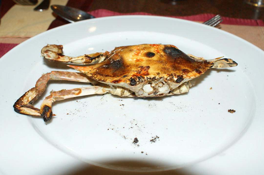 Gegrillte Krabben Pickalbatros Alf Leila Wa Leila Resort - Neverland Hurghada
