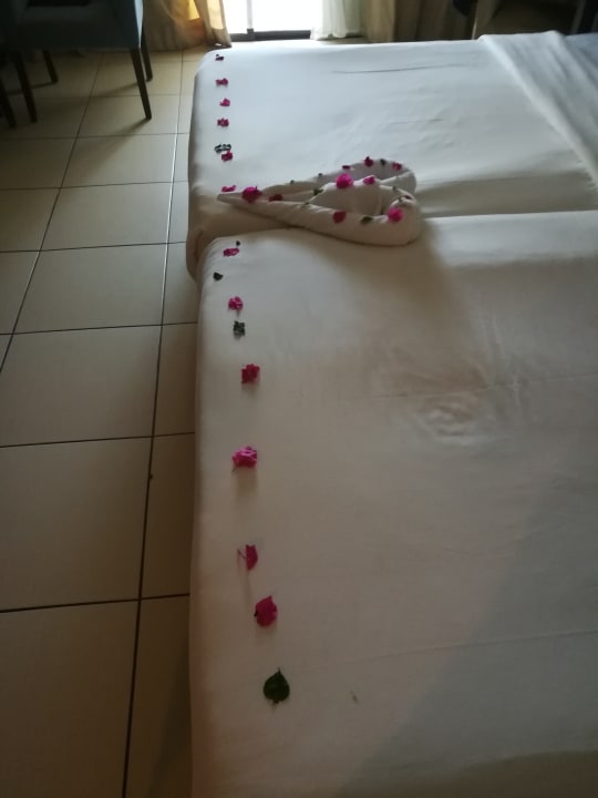 Zimmer JAZ Aquamarine Resort