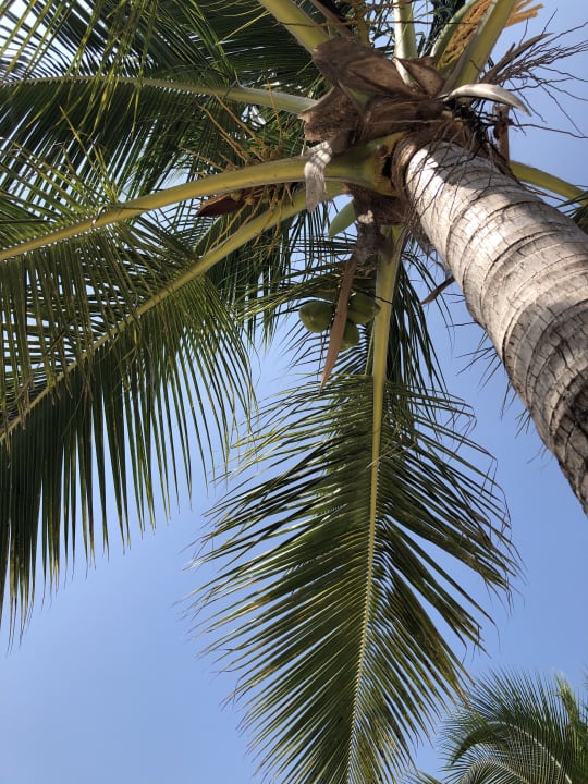 Strand Royal Zanzibar Beach Resort