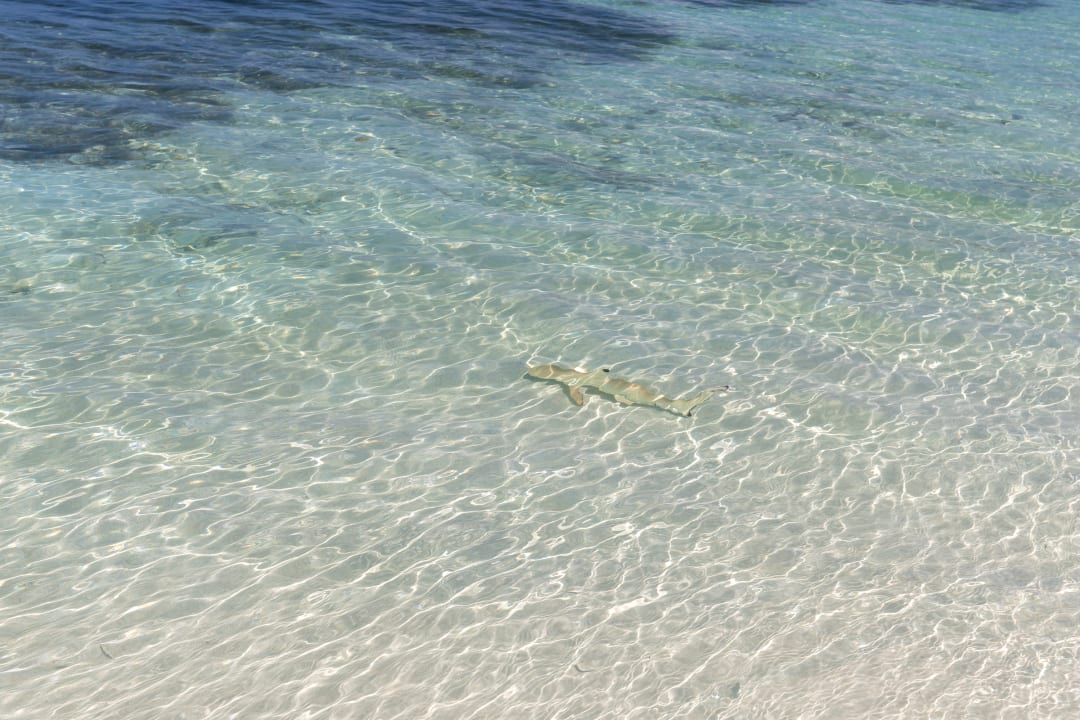 Strand Sun Siyam Olhuveli