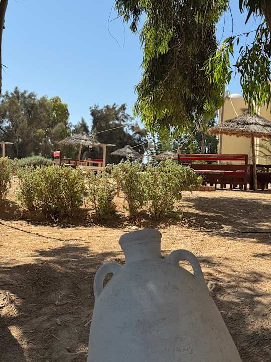 Gartenanlage Aldiana Club Djerba Atlantide