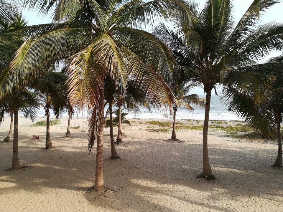 Strand TUI BLUE Tamala