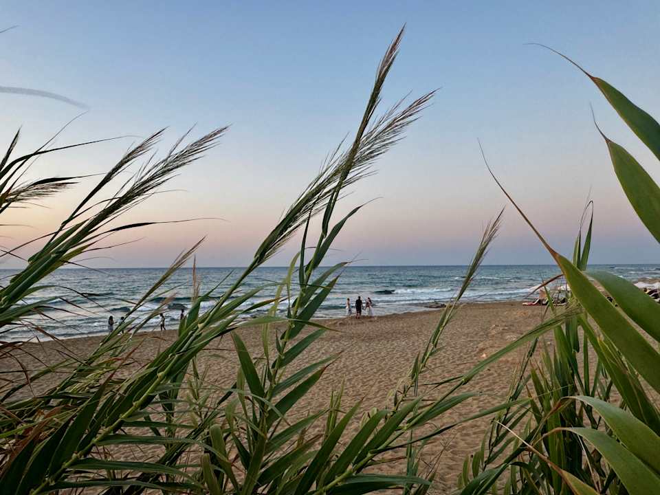 Strand allsun Hotel Carolina Mare