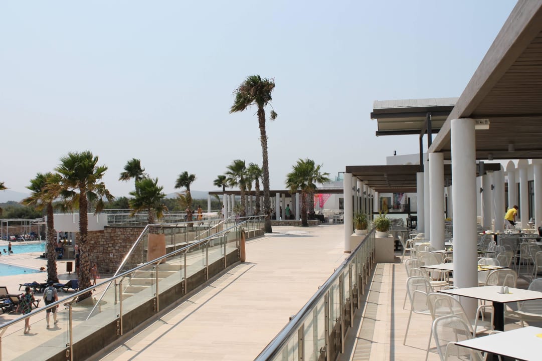 Wunderbar Atlantica Plimmiri