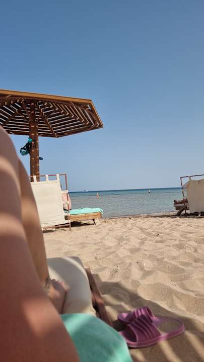 Strand Shams Prestige Abu Soma-Adults Only