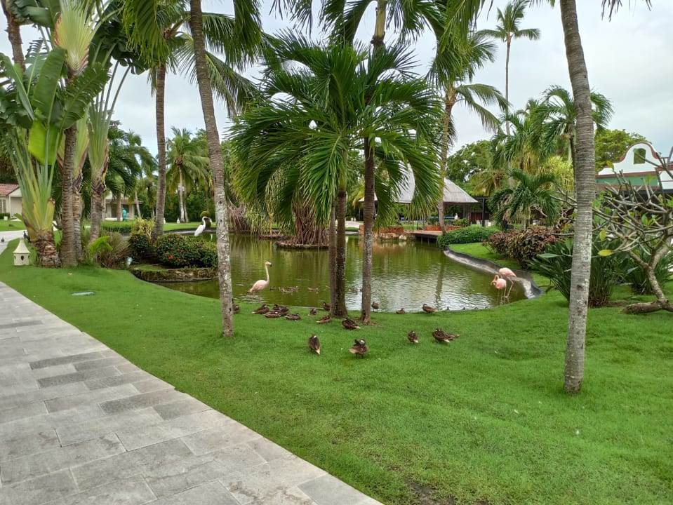 Gartenanlage Caribe Deluxe Princess