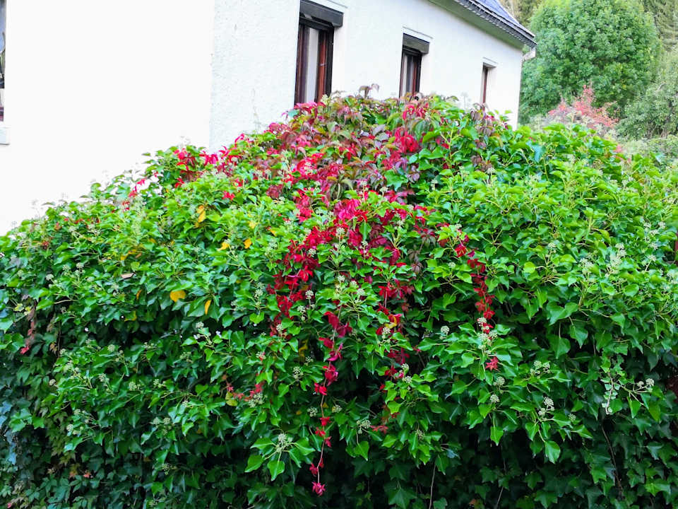 Gartenanlage Pumphut's Scheune - Ferienwohnungen