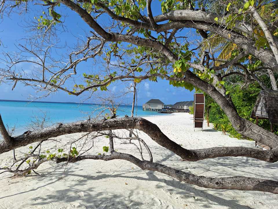 Strand Summer Island Maldives