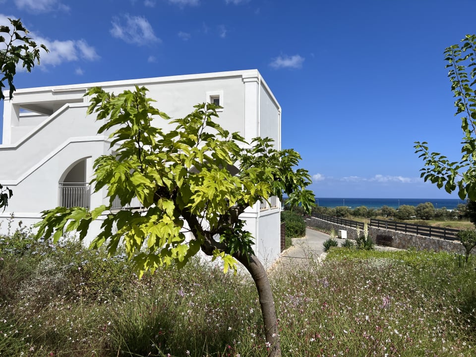 Gartenanlage Anemos Luxury Grand Resort