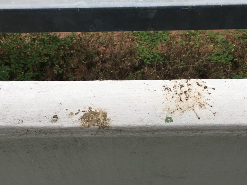 Zimmer Ferienwohnungen Ferienpark Weissenhäuser Strand