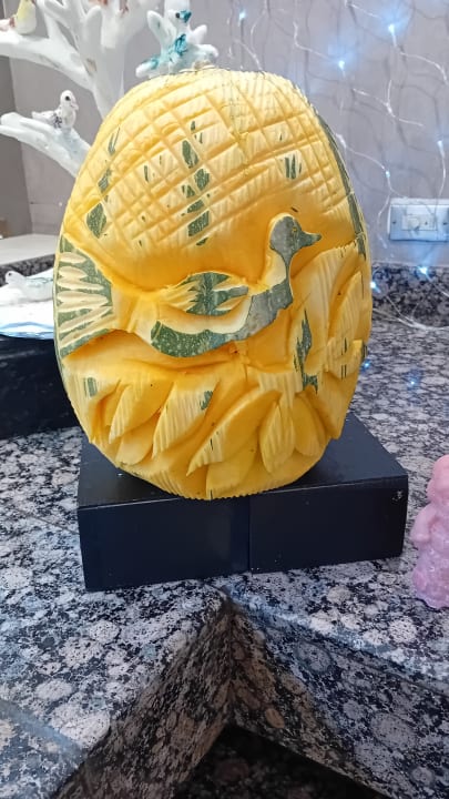 Gastro Shams Prestige Abu Soma-Adults Only