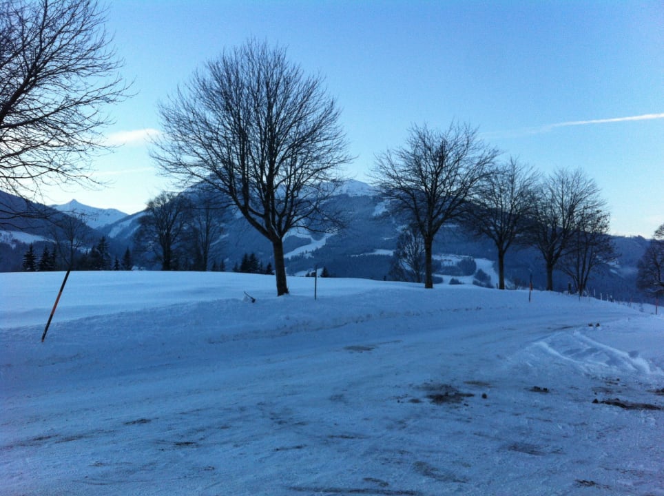 Blick auf die Reiteralm Brandstätterhof