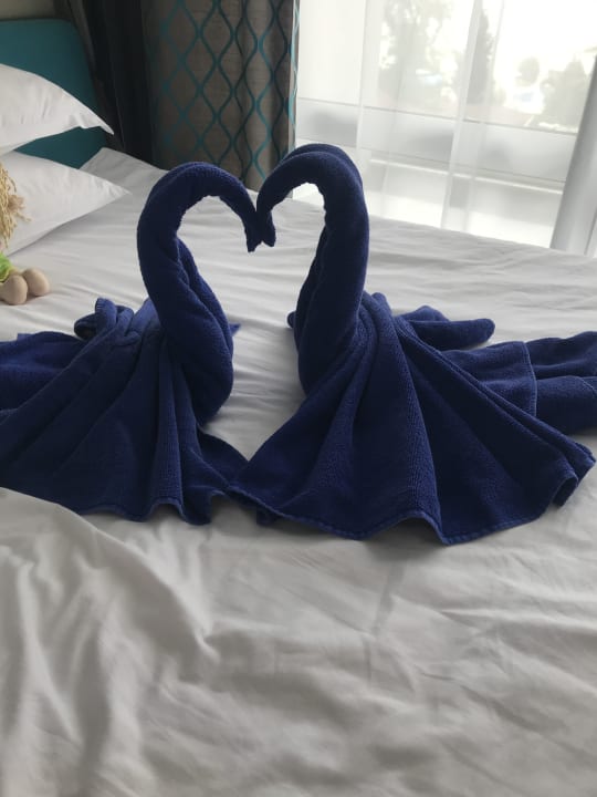 Zimmer Sentido Marea