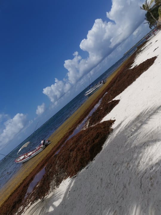 Strand Secrets Akumal Riviera Maya - Adults only