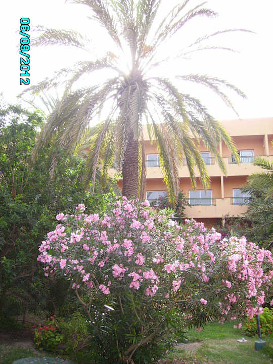 Blick zum Hotel El Ksar Resort & Thalasso