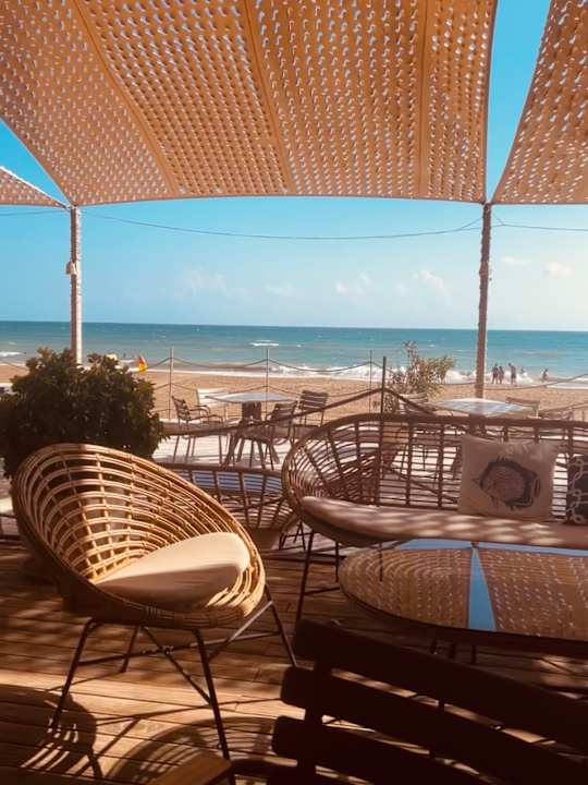 Strand Seashell Vega