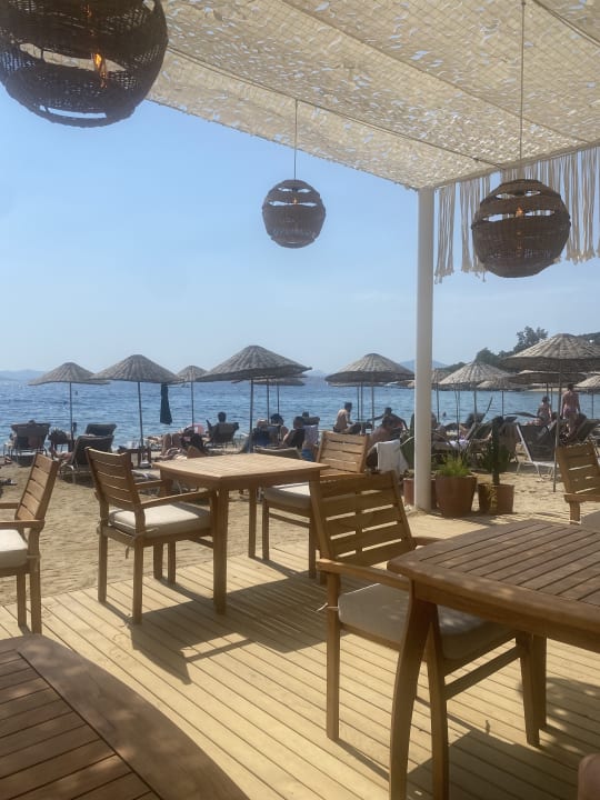 Gastro TUI MAGIC LIFE Bodrum - Adult Only (16+)