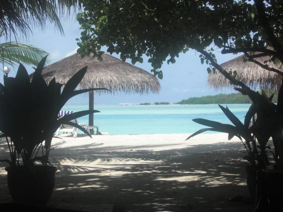 Ausblick von unserem Tisch im Koimala Restaurant Cinnamon Dhonveli Maldives