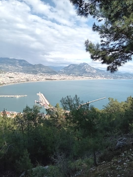 Ausblick Gardenia Hotel