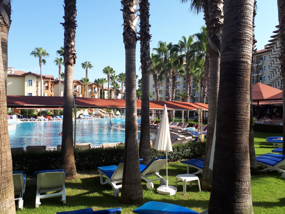 Pool Miramare Queen Hotel