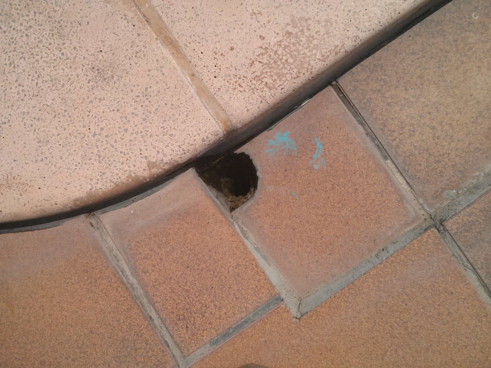 Pool wurde lange nicht gewartet  Hotel Miramar