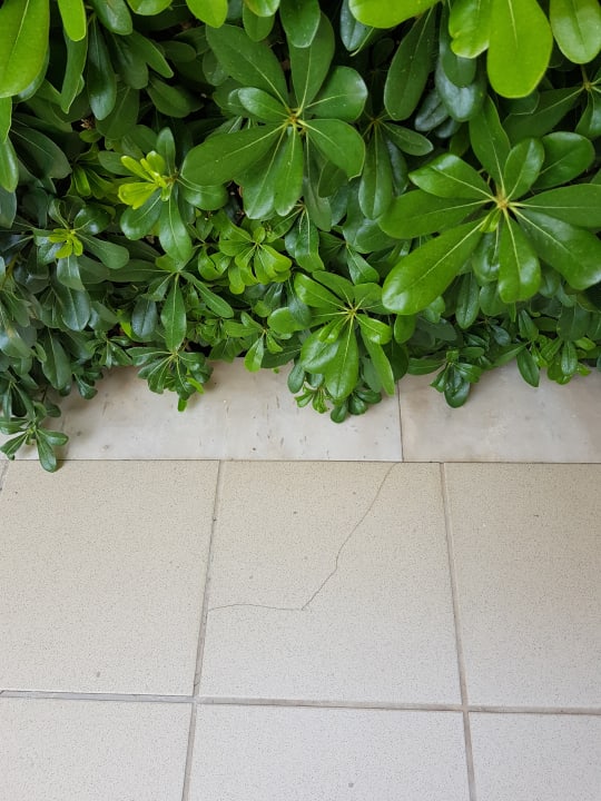 Sonstiges Rodos Palladium Leisure & Wellness