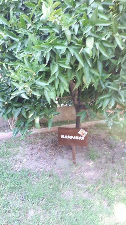 Gartenanlage Telatiye Resort