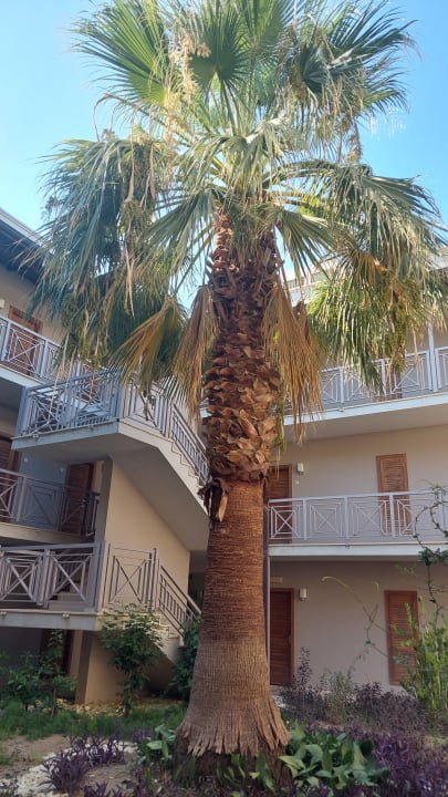 Gartenanlage Sunis Elita Beach Resort & Spa