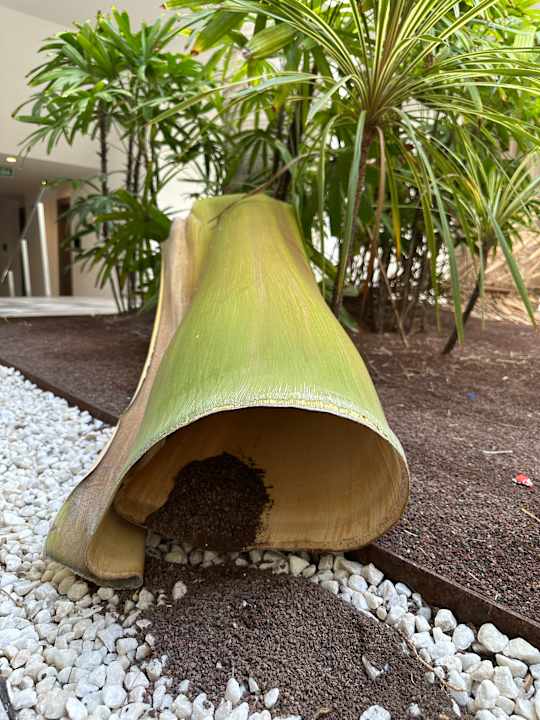 Gartenanlage Hotel Riu Palace Oasis