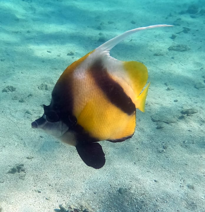 Sport & Freizeit Brayka Bay Resort