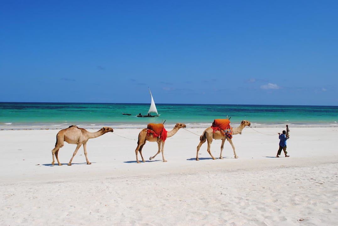 Die Karawane Hotel Karibuni Rafiki Beach Resort