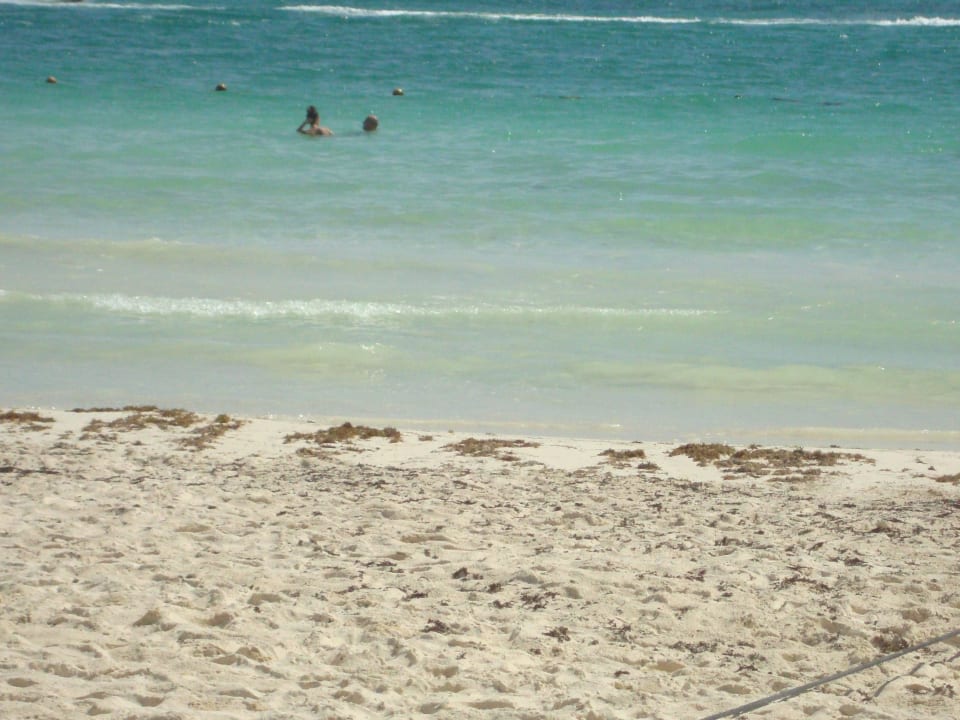 Hotel Catalonia Playa Maroma Catalonia Playa Maroma