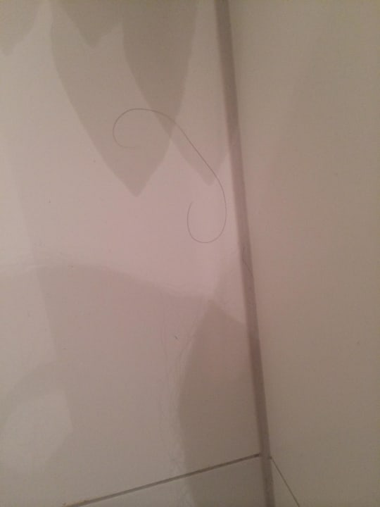 Haare vom Vorgänger im Bad Motel One München Sendlinger Tor