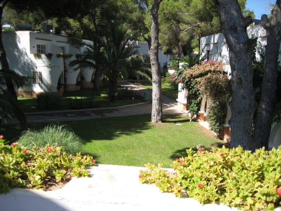 Blick vom Balkon TUI MAGIC LIFE Cala Pada