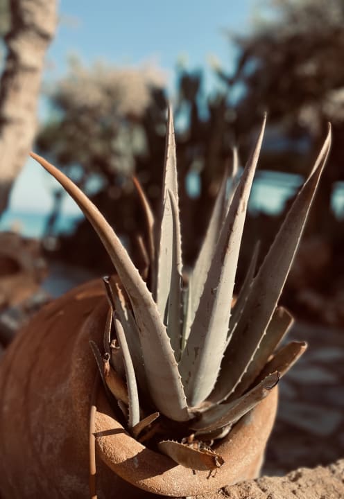 Außenansicht Mitsis Selection Rinela