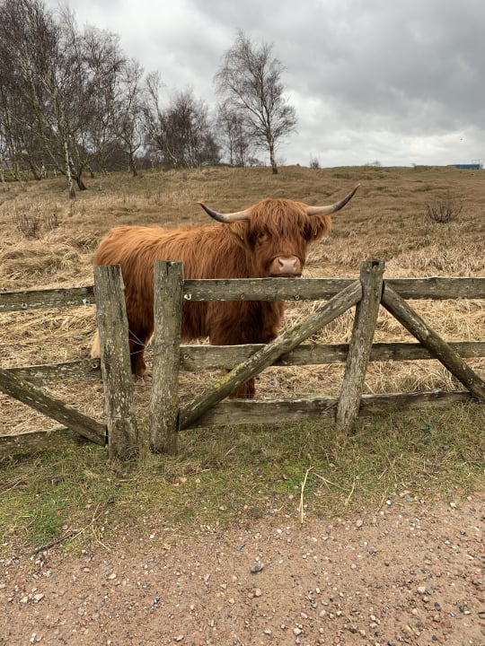 Strand Ferienwohnungen Ferienpark Weissenhäuser Strand