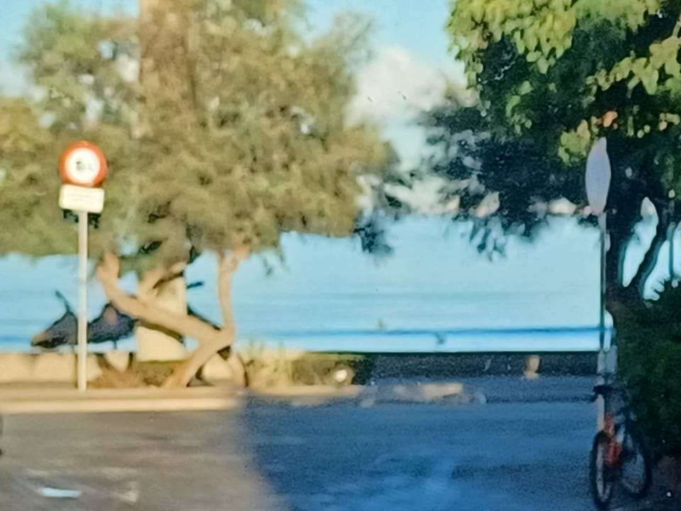 Sonstiges whala!beach