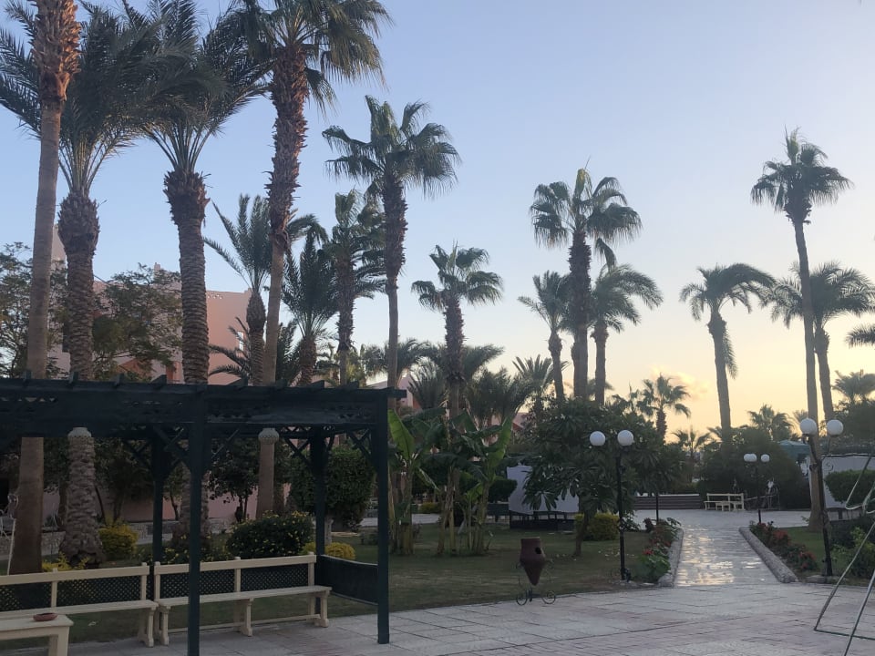 Gartenanlage Hotel Le Pacha Beach Resort